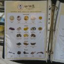 제주바개트 이미지