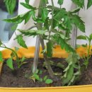 혁이농장 이미지