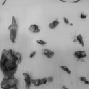 문정탑동물병원 이미지