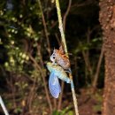 경이의세계 이미지