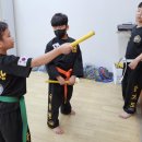 국술원도장 이미지