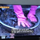 김치&젓갈