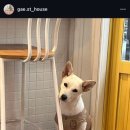 아노록 이미지