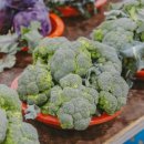 성산오일시장 이미지