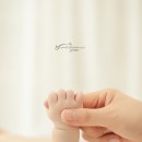 홍당무그린스튜디오 이미지