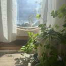 대정한의원 이미지