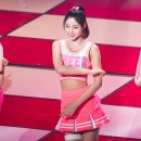 Elvis 이미지