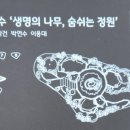 엘스케이프 이미지