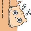 고르고주촌점