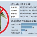 *. 불법 부추기는 부동산정책 이미지