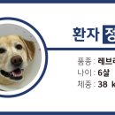 나음동물메디컬센터 이미지