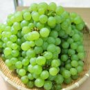 청수영농조합 이미지