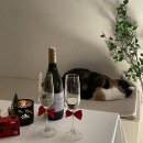 WONDER LAND 이미지