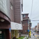Maon(마온)