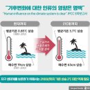 비주