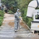 파주양돈단지(2) 연합뉴스
