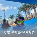 당진 아마존 아쿠아파크 방문기 ft. 카바나