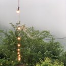 로뎀나무펜션 이미지