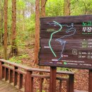 서귀포 치유의 숲 노고록 숲길 네이버블로그