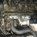 전.금강카크리닉 이미지