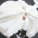 신소반닭발쭈꾸미 이미지