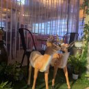 찌개랑밥먹자 이미지