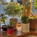 리나어린이집 | 260202 - 260208