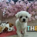 세븐일레븐 광양마동점 이미지