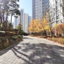 아름동_범지기902동 이미지