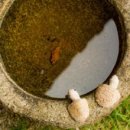 외동마님 이미지