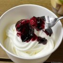 콩포트 | 요거트홀릭 강남점 배달 후기 | 콩포트·치즈큐브 추가한 요거트아이스크림 솔직 리뷰