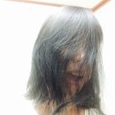 보라헤어샵 - 안양시 동안구 관평로313번길 58 | 보라헤어샵