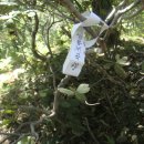속리농원 네이버블로그