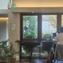 남양주 진접 대형카페 &#39;모모다인 오픈하우스&#39; | 별내 베이커리 추천 | 서울근교 야외 정원 디저트...