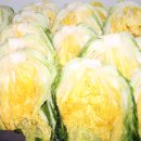 동막골 농장 이미지