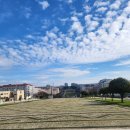 화님마트 | 리스본 대학교(리스본 공대) 기숙사 신청, 입주, 퇴사, 솔직한 후기