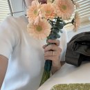 [일상] 25년 1월