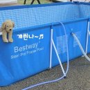 양주글램핑코리아애견캠핑장 이미지