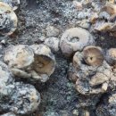 포항지형산책 이미지