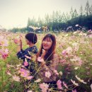 너울너울
