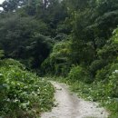 덩쿨농장 이미지