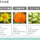 백설공주피부관리실