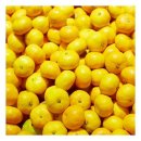 문 휘트니스 이미지