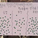 영남대학교 박정희새마을대학원 | 저는 어른이입니다.