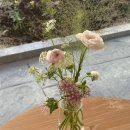 바즈플라워 이미지