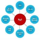 진세노