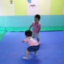 파랑새점핑 이미지