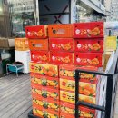 과일원정대 마곡점