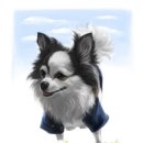 강아지그림