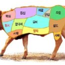 소잡는날 이미지